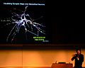 Henry Markram - Visualizing Synaptic Maps onto Neocrortical Neurons