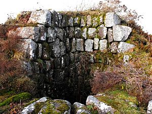 Collared in stone - geograph.org.uk - 1738427