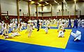 Judo Camp in Artjärvi, Finland