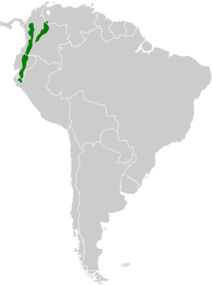 Gallinago nobilis map.svg
