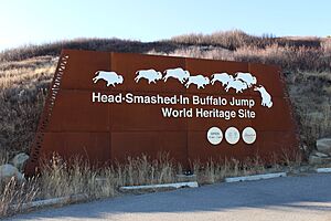 Head Smashed-In Buffalo Jump