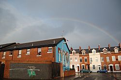 New Lodge rainbow