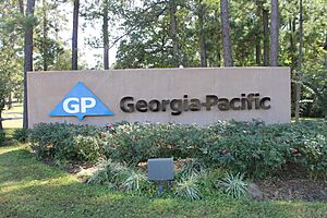 Georgia-Pacific in Diboll, TX IMG 3900