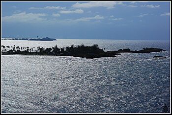 View of Isla de Cabras from El Morro, Puerto Rico.jpg