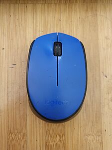 Logitech M171 Blue Mouse