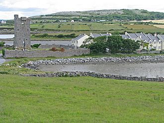 Muckinish Castle encroached upon by modern homes - geograph.org.uk - 954099.jpg