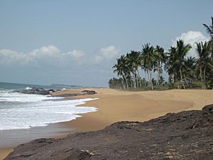 Beach with palms Ghana