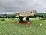 A dolmen in the field