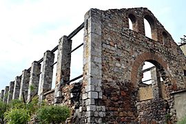 Ruinas del Taller del Ferrocarril Guanta-Naricual. Barcelona, Edo. Anzoategui (1)