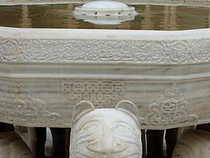 Alhambra Lions Fountain DSCF8713