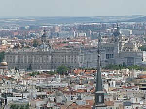 Royal Palace of Madrid viewed from a distance