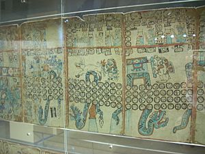 Madrid Codex 6