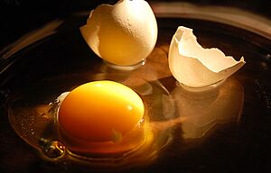 Chicken raw egg with broken shell