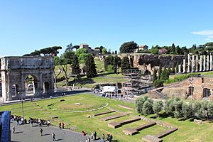 Palatine Hill from Colosseum 2011 1