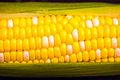 Summer corn (48286638996)