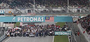 Starting grid of 2010 Malaysian GP