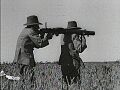 Lewis Gun during Emu War