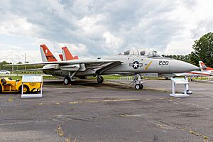 PAX-F14Tomcat-2023.jpg