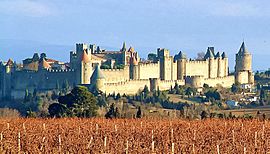 Carcassonne and vineyards