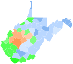 West Virginia Senate Election Democratic primary, 2020