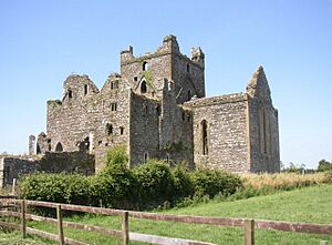 Dunbrody Abbey, Co. Wexford - geograph.org.uk - 212180