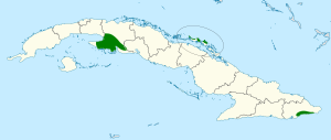 Torreornis inexpectata map.svg