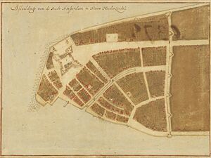 Stad Amsterdam in Nieuw Nederland (City Amsterdam in New Netherland) Castello Plan 1660
