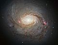 Messier 77 spiral galaxy by HST
