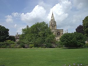 Christ Church Cathedral from across the Meadow