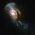 Snakes and Stones NGC 4194.jpg