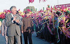Whitlam in China