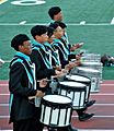 Marching snares