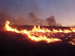 2011-08-04 20 00 00 Susie Fire in the Adobe Range west of Elko Nevada