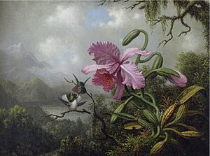Martin Johnson Head, Orchid and Hummingbirds Near a Mountain Lake