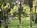 Singapore Botanic Gardens Palm Valley