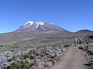 Kibo summit of Mt Kilimanjaro 001