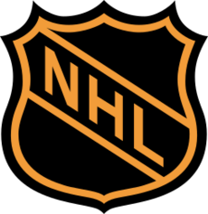 NHL Logo former