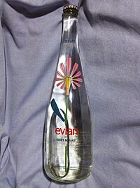 Evian Water Bottle By Issey Miyake