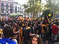 2012 Catalan independence protest (41)