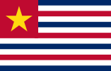 Flag of Louisiana (of February 1861 CSA)