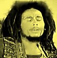 Bob Marley Grona Lund 1977