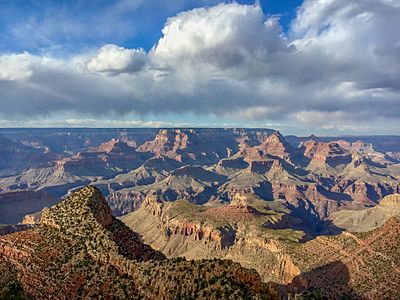 Grand Canyon National Park- View from Grandview Point - 48388820891