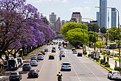 Avenida Figueroa Alcorta - floración de jacarandá