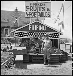 San Lorenzo, California. Fruit and vegetable stand on highway operated by Filipino. This year he . . . - NARA - 537768