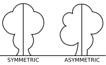 Asymmetric (PSF)