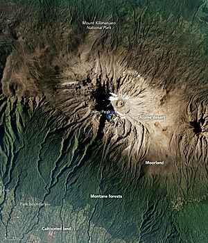 Kilimanjaro from space 2016