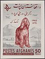 Stamp of Afghanistan - 1962 - Colnect 647962 - Afghan Hound Canis lupus familiaris