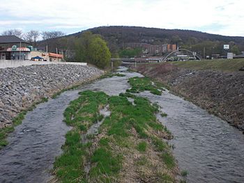 Mahoning Ceek looking upstream in Danville, Pennsylvania.jpg