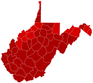 West Virginia Senate Election Republican primary, 2020