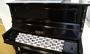 MIM Janko Piano